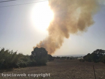 Incendio a Ponte di Cetti