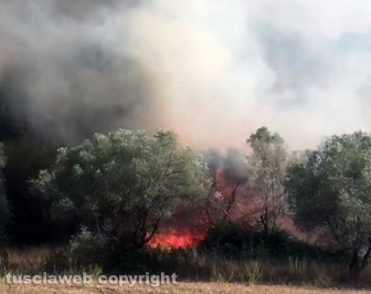 Incendio a Ponte di Cetti