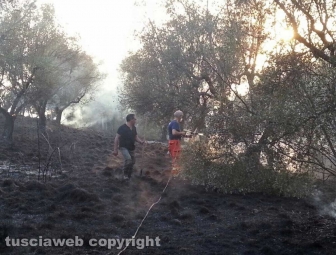 Incendio a Ponte di Cetti