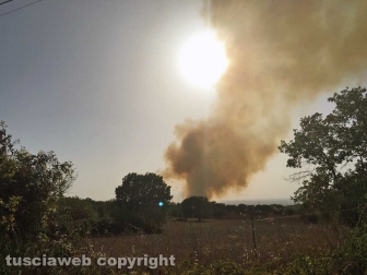 Incendio a Ponte di Cetti