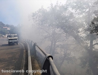 Montefiascone - Incendio a ridosso della Cassia