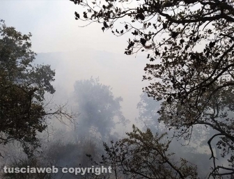Montefiascone - Incendio a ridosso della Cassia
