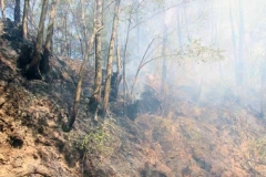 Incendio a San Martino
