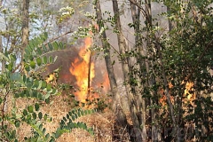 Incendio a San Martino