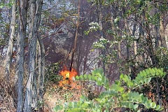 Incendio a San Martino