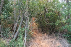 Incendio a San Martino