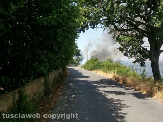 Incendio al cimitero San Lazzaro