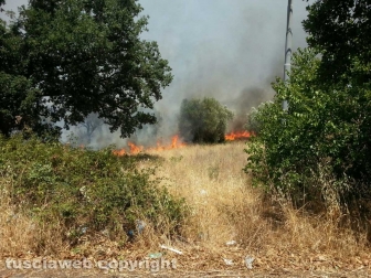 Incendio al cimitero San Lazzaro