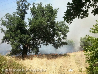 Incendio al cimitero San Lazzaro