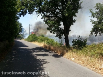 Incendio al cimitero San Lazzaro