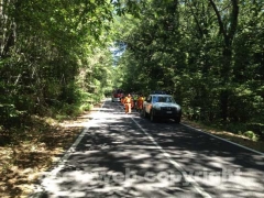 Incendio al lago di Vico