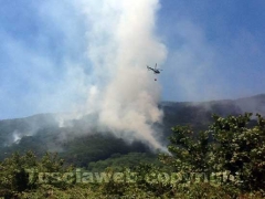 Incendio al lago di Vico