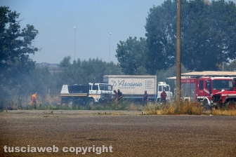 Viterbo - Vasto incendio al cimitero San Lazzaro - L'intervento dei soccorritori