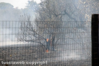 Viterbo - Vasto incendio al cimitero San Lazzaro - L'intervento dei soccorritori
