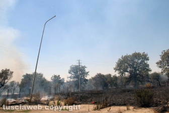Viterbo - Vasto incendio al cimitero San Lazzaro - L'intervento dei soccorritori