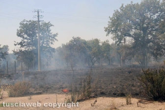 Viterbo - Vasto incendio al cimitero San Lazzaro - L'intervento dei soccorritori