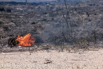 Viterbo - Vasto incendio al cimitero San Lazzaro - L'intervento dei soccorritori