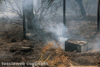 Viterbo - Vasto incendio al cimitero San Lazzaro - L'intervento dei soccorritori