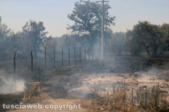Viterbo - Vasto incendio al cimitero San Lazzaro - L'intervento dei soccorritori