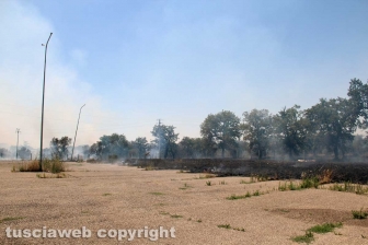 Viterbo - Vasto incendio al cimitero San Lazzaro - L'intervento dei soccorritori