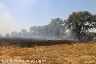 Viterbo - Vasto incendio al cimitero San Lazzaro - L'intervento dei soccorritori