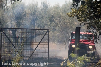 Viterbo - Vasto incendio al cimitero San Lazzaro - L'intervento dei soccorritori