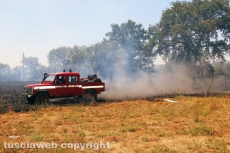 Viterbo - Vasto incendio al cimitero San Lazzaro - L'intervento dei soccorritori