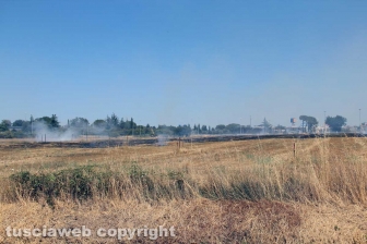 Viterbo - Vasto incendio al cimitero San Lazzaro - L'intervento dei soccorritori