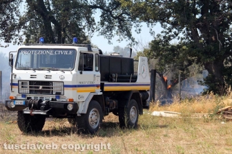Viterbo - Vasto incendio al cimitero San Lazzaro - L'intervento dei soccorritori