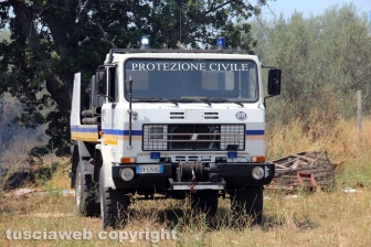 Viterbo - Vasto incendio al cimitero San Lazzaro - L'intervento dei soccorritori