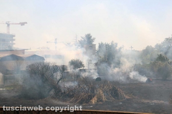 Viterbo - Vasto incendio al cimitero San Lazzaro - L'intervento dei soccorritori