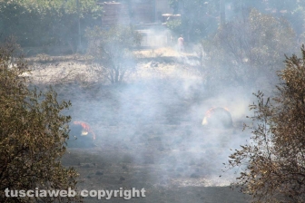 Viterbo - Vasto incendio al cimitero San Lazzaro - L'intervento dei soccorritori