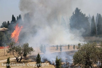 Viterbo - Vasto incendio al cimitero San Lazzaro - L'intervento dei soccorritori
