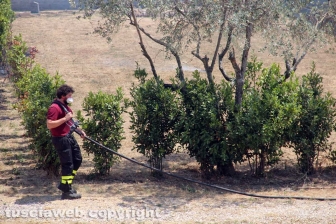 Viterbo - Vasto incendio al cimitero San Lazzaro - L'intervento dei soccorritori