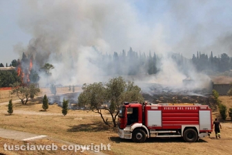 Viterbo - Vasto incendio al cimitero San Lazzaro - L'intervento dei soccorritori