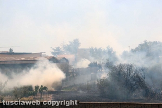 Viterbo - Vasto incendio al cimitero San Lazzaro - L'intervento dei soccorritori