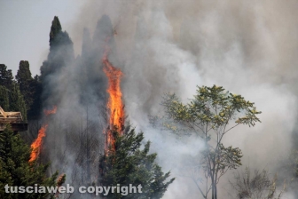 Viterbo - Vasto incendio al cimitero San Lazzaro - L'intervento dei soccorritori