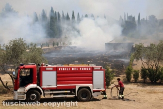 Viterbo - Vasto incendio al cimitero San Lazzaro - L'intervento dei soccorritori
