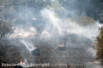 Viterbo - Vasto incendio al cimitero San Lazzaro - L'intervento dei soccorritori