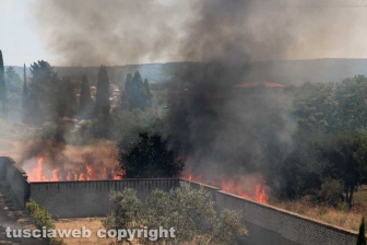 Viterbo - Vasto incendio al cimitero San Lazzaro - L'intervento dei soccorritori