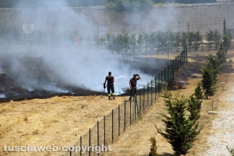 Viterbo - Vasto incendio al cimitero San Lazzaro - L'intervento dei soccorritori