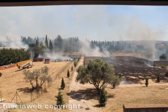 Viterbo - Vasto incendio al cimitero San Lazzaro - L'intervento dei soccorritori