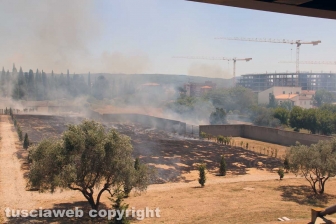 Viterbo - Vasto incendio al cimitero San Lazzaro - L'intervento dei soccorritori
