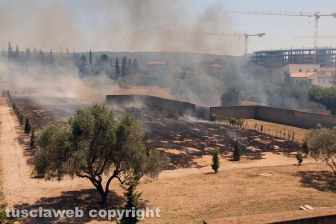 Viterbo - Vasto incendio al cimitero San Lazzaro - L'intervento dei soccorritori