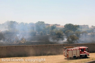 Viterbo - Vasto incendio al cimitero San Lazzaro - L'intervento dei soccorritori