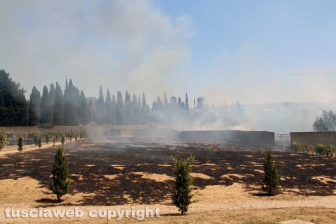 Viterbo - Vasto incendio al cimitero San Lazzaro - L'intervento dei soccorritori