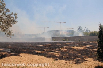 Viterbo - Vasto incendio al cimitero San Lazzaro - L'intervento dei soccorritori