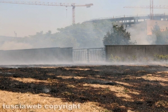 Viterbo - Vasto incendio al cimitero San Lazzaro - L'intervento dei soccorritori