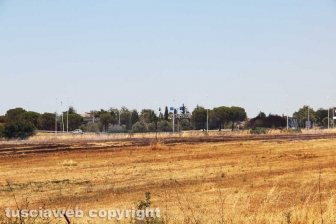 Viterbo - Vasto incendio al cimitero San Lazzaro - L'intervento dei soccorritori