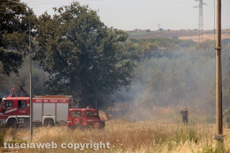 Viterbo - Vasto incendio al cimitero San Lazzaro - L'intervento dei soccorritori